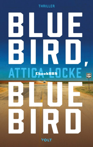 Screenshot_2025-04-26 Bluebird, bluebird, Attica Locke 9789021416489 Boeken bol.png