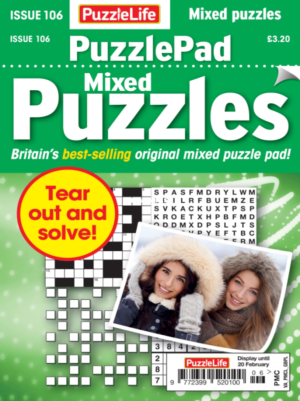 PuzzleLife_PuzzlePad_Puzzles_-_January_2025 - 1.png