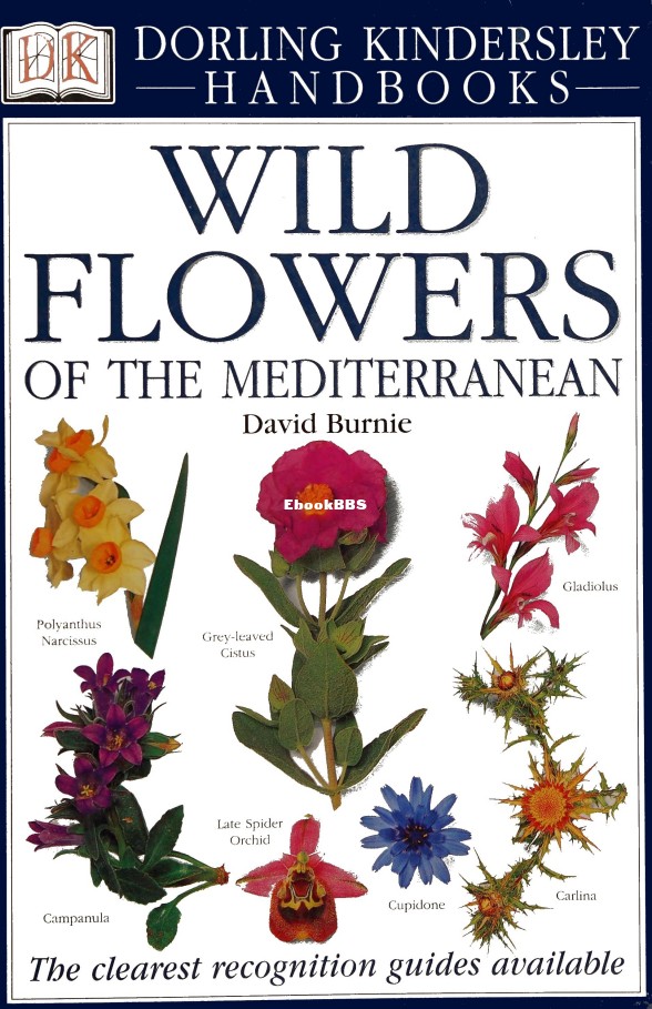Wildflowers of the Mediterranean - 1.png
