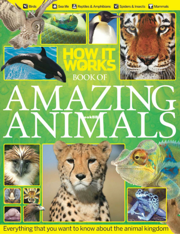 How It Works. Book of Amazing Animals - 1.png