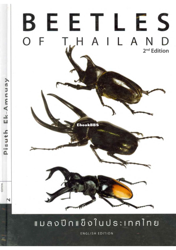 beetles-of-thailand - 1.png
