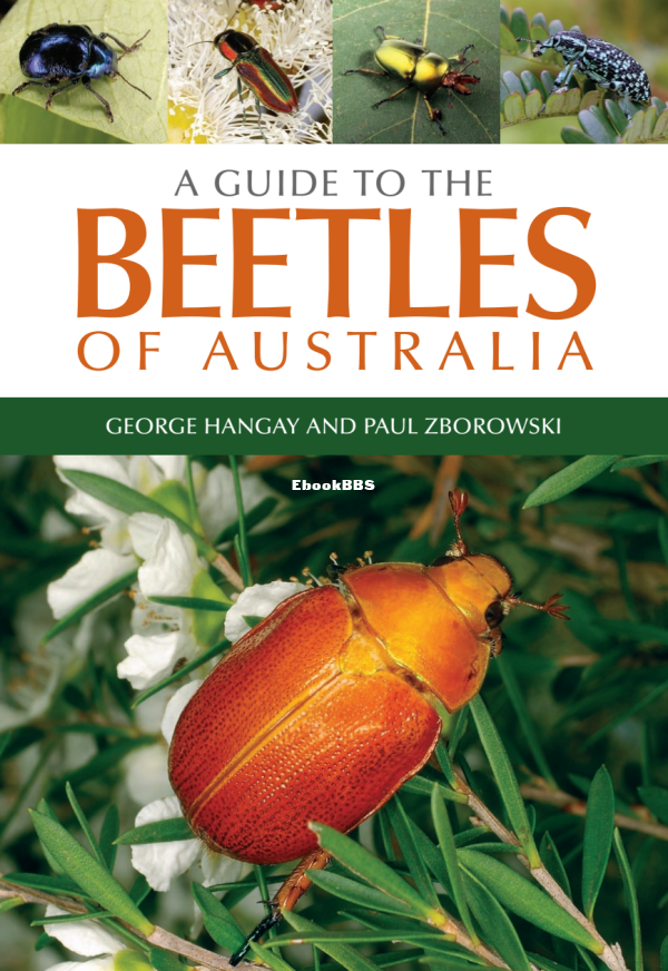 a-guide-to-the-beetles-of-australia - 1.png