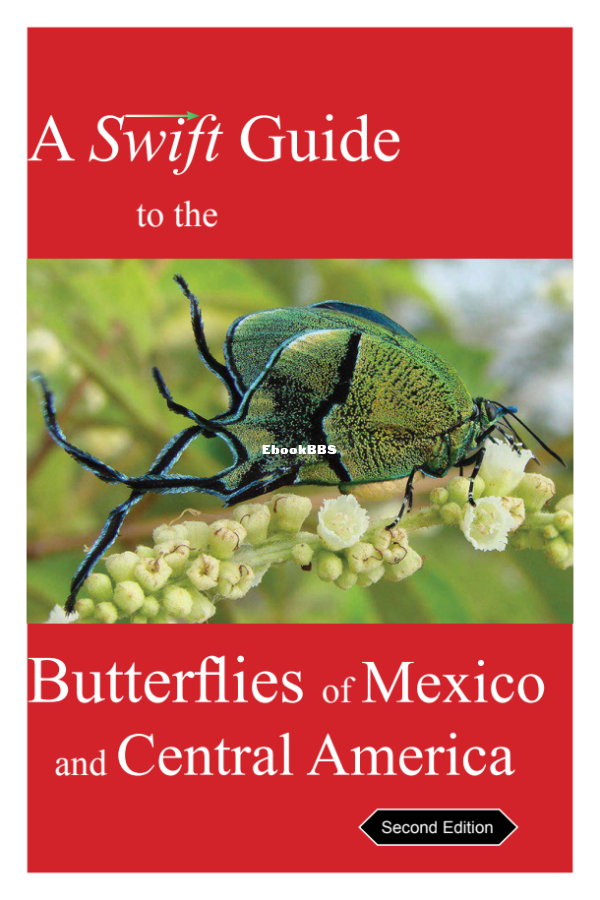A_Swift_Guide_to_Butterflies_of_Mexico_and_Central_America_-_Jeffrey_Glassberg - 1.png