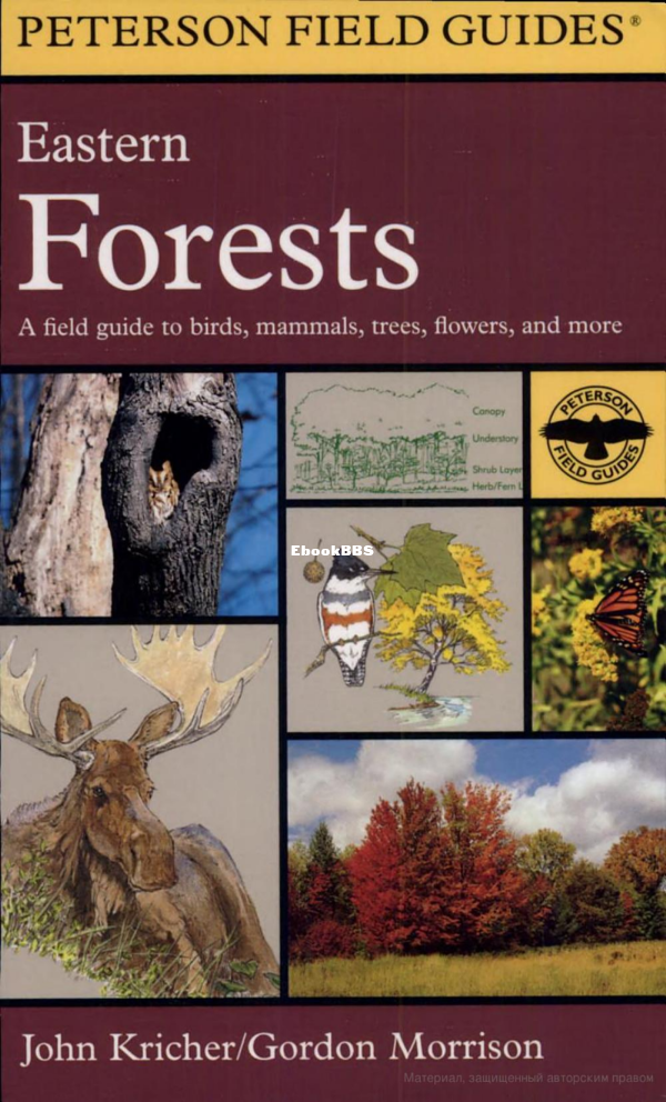 a-field-guide-to-eastern-forests-north-america - 1.png
