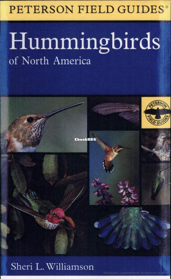 a-field-guide-to-hummingbirds-of-north-america - 1.png