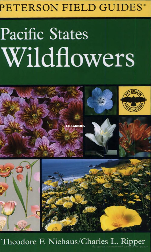 a-field-guide-to-pacific-states-wildflowers-washington-oregon-california-and-adj.png