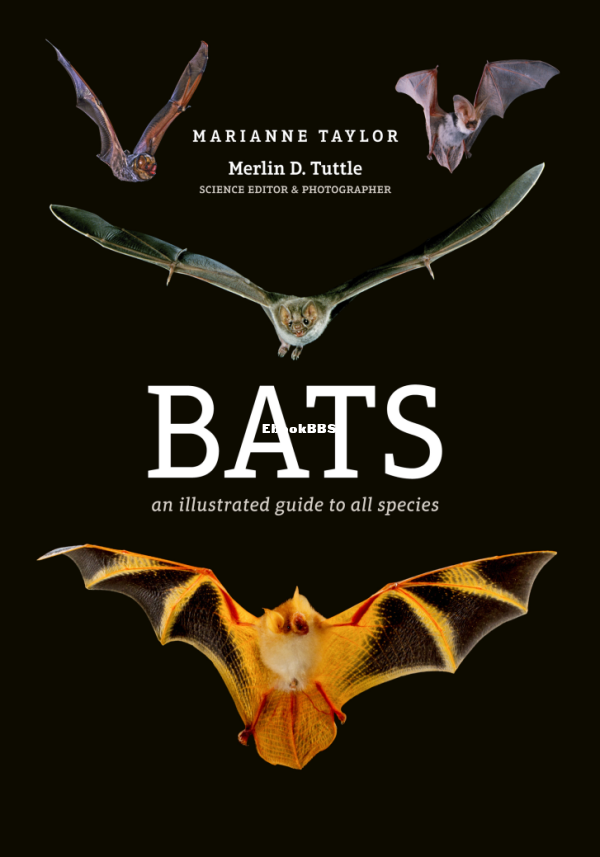 Bats-An-Illustrated-Guide-to-all-Species-pdf - 1.png