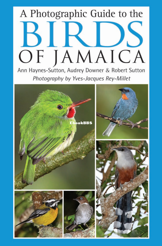Birds of Jamaica - 1.png