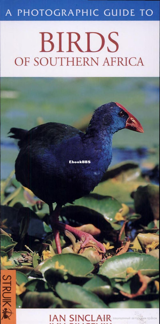 Birds of Southern Africa - 1.png