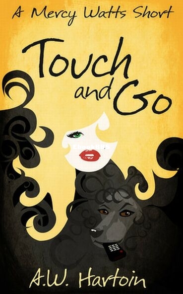Touch and Go.jpg