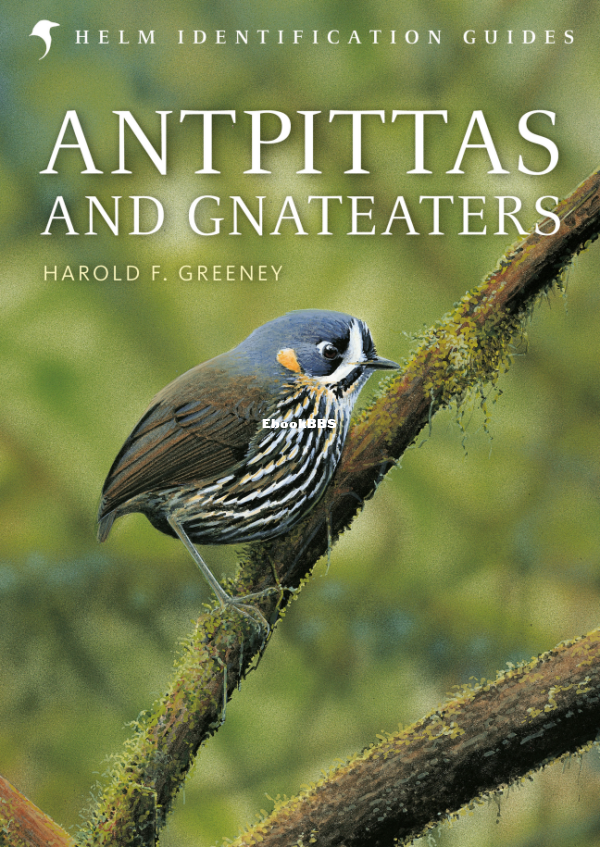 Antpittas and Gnateaters (Harold Greeney) - 1.png