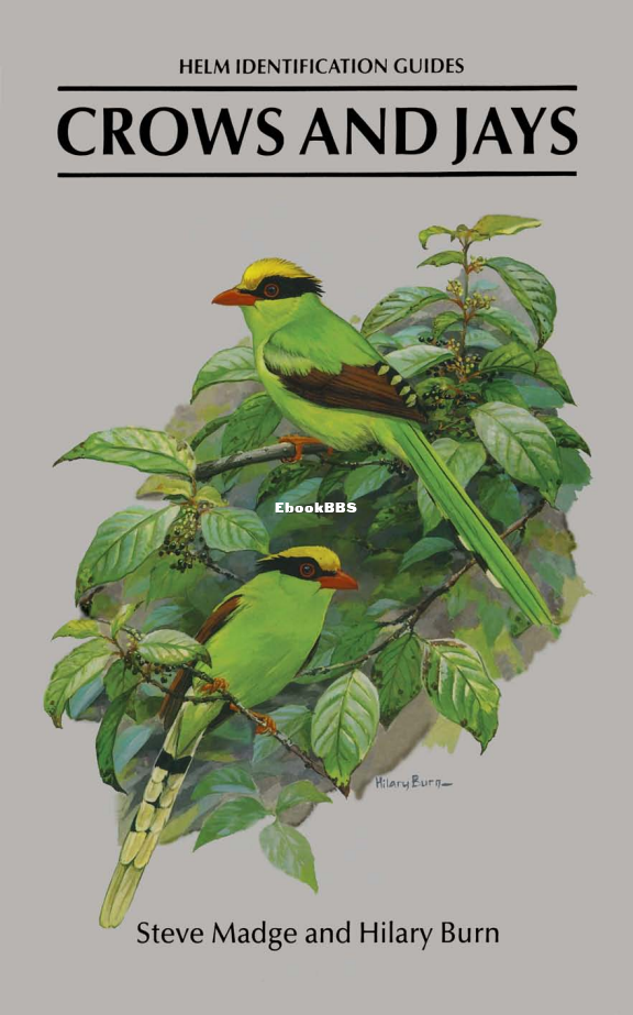 Crows and Jays A Guide to the Crows, Jays and Magpies of the World (Steve Madge,.png