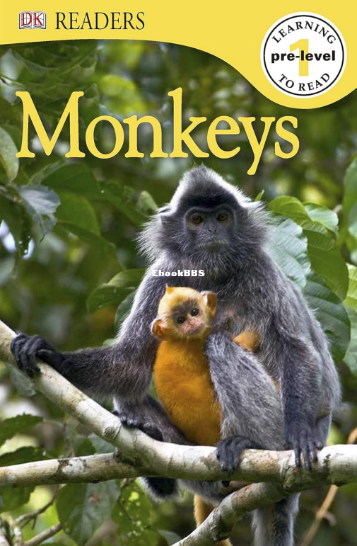 Monkeys - 1.png