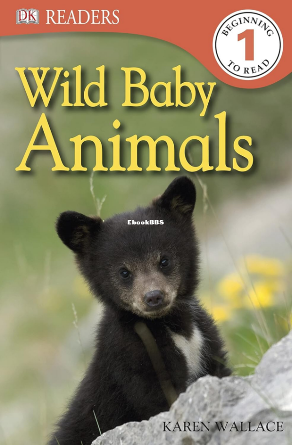Wild baby animals - 1.png