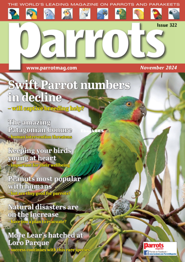 Parrots_-_November_2024 - 1.png