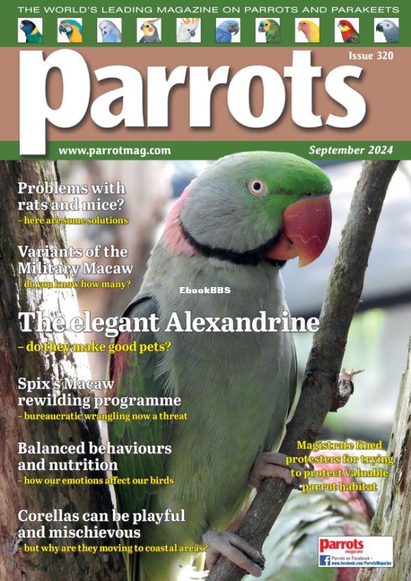 Parrots_-_September_2024 - 1.png