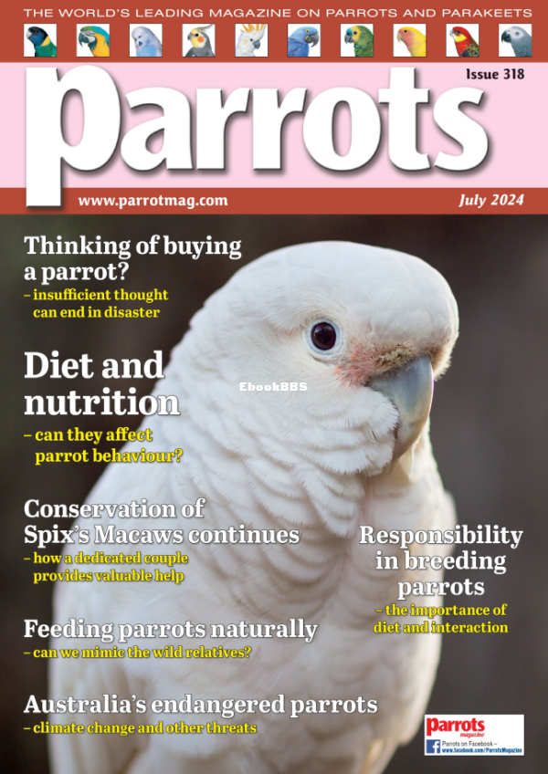 Parrots_-_July_2024 - 1.png