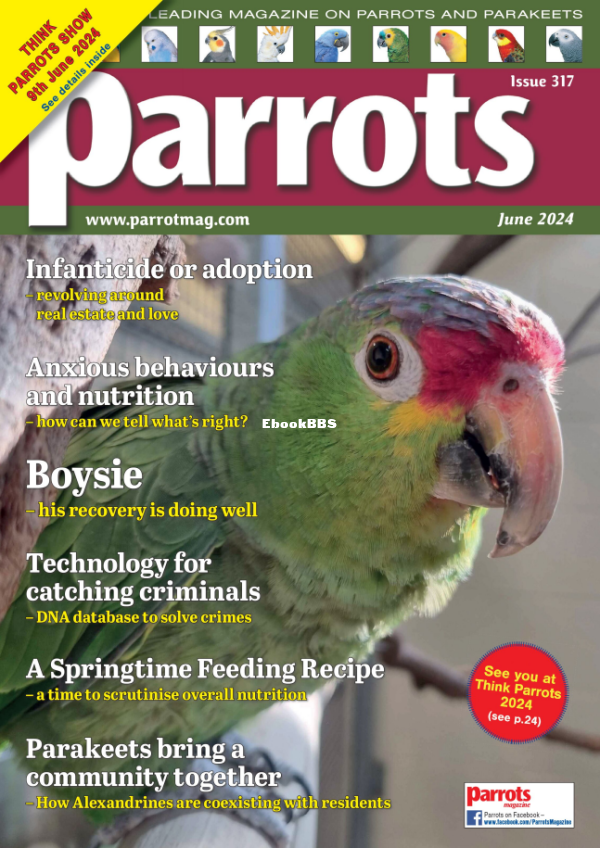 Parrots_-_June_2024 - 1.png