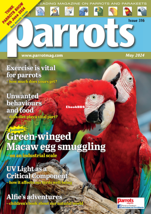 Parrots_-_May_2024 - 1.png