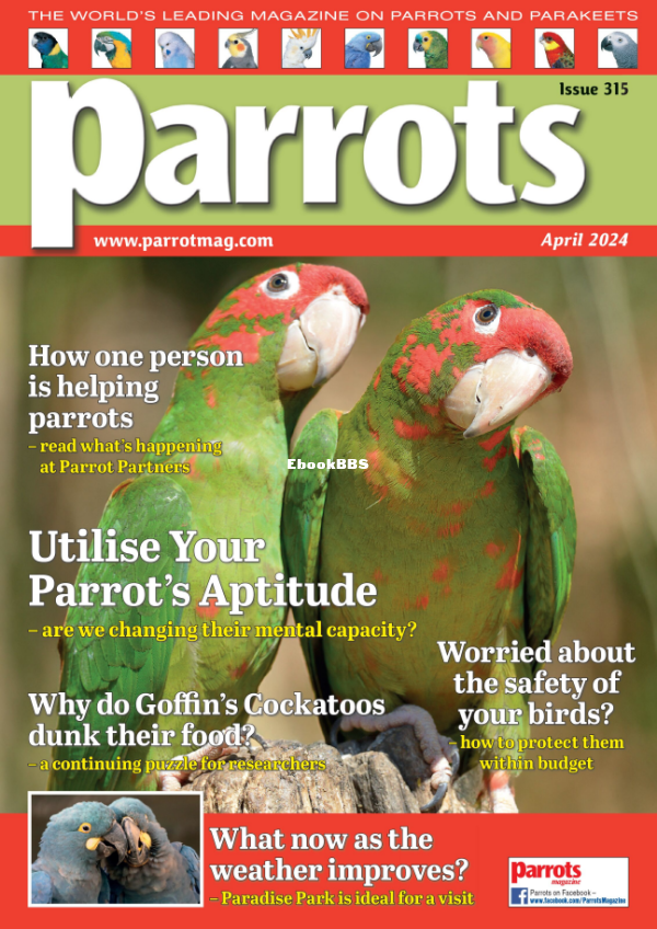 Parrots_-_April_2024 - 1.png
