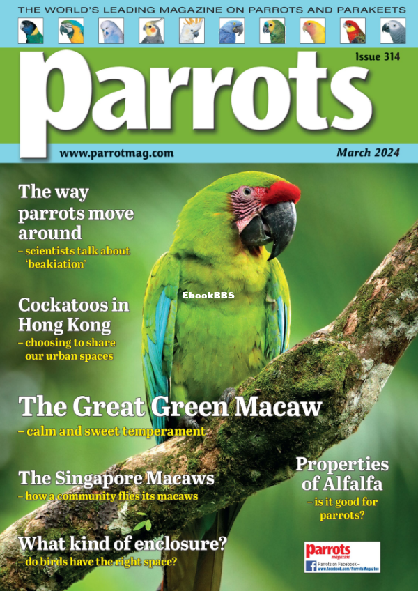 Parrots_-_March_2024 - 1.png