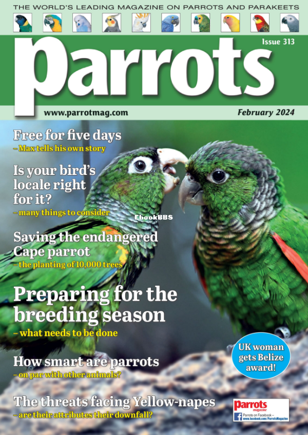 Parrots_-_February_2024 - 1.png