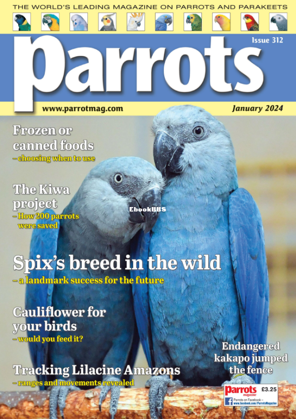 Parrots_-_January_2024 - 1.png
