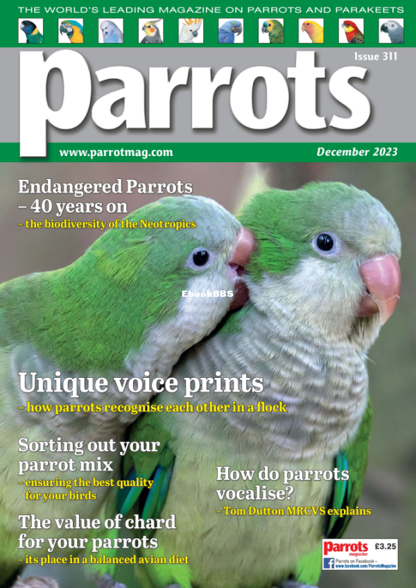 Parrots_-_December_2023 - 1.png