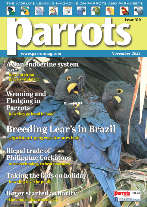 Parrots_-_November_2023 - 1.png