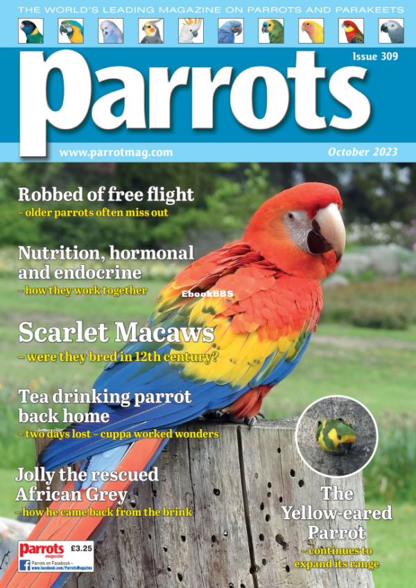 Parrots_-_October_2023 - 1.png