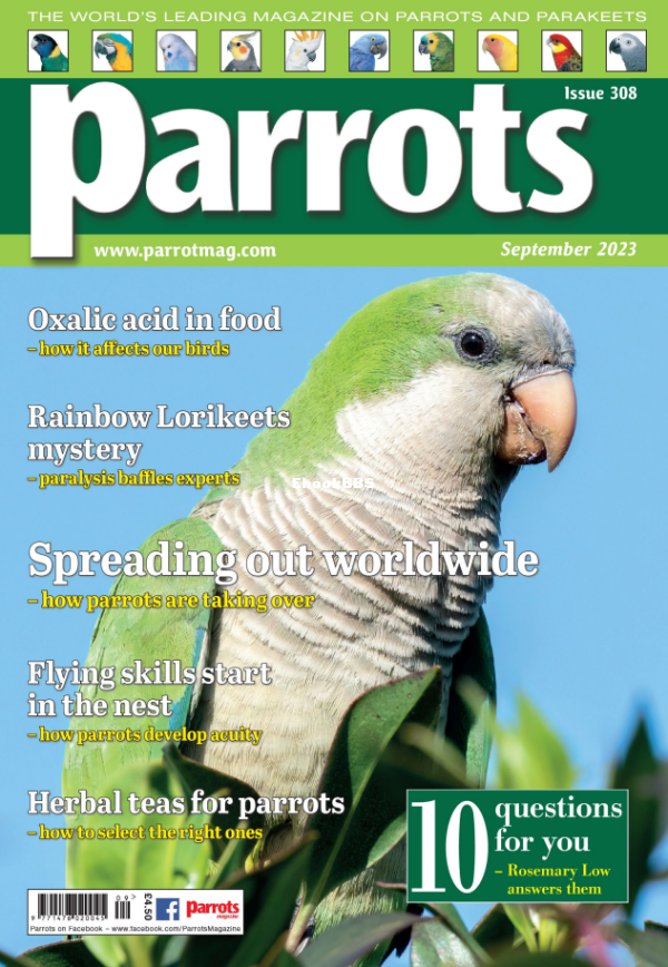 Parrots_-_Issue_308_-_September_2023 - 1.png