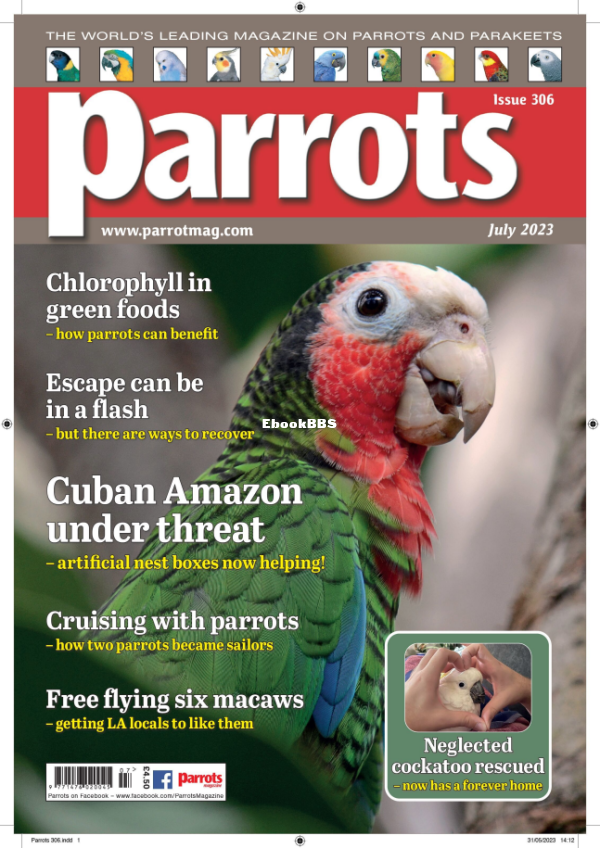 Parrots__July_2023 - 1.png