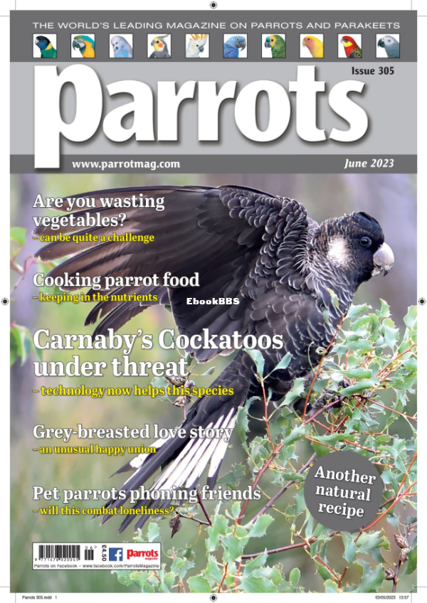 Parrots__June_2023 - 1.png