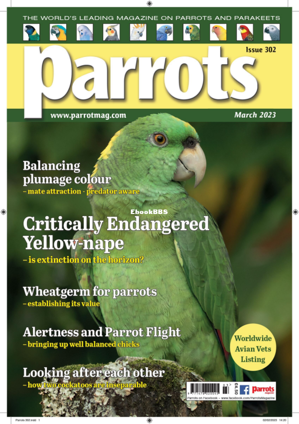 Parrots_-_Issue_302_March_2023_-_Parrots_Magazine - 1.png