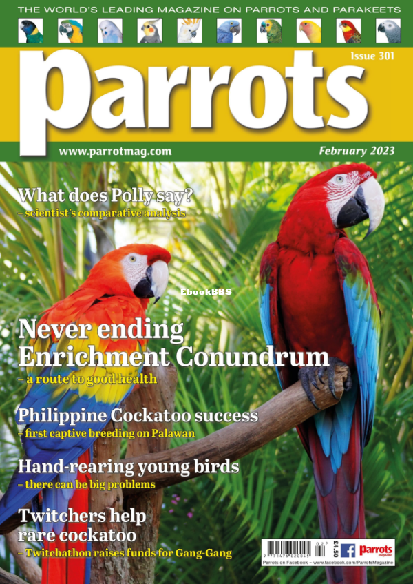 Parrots__January_2023 - 1.png