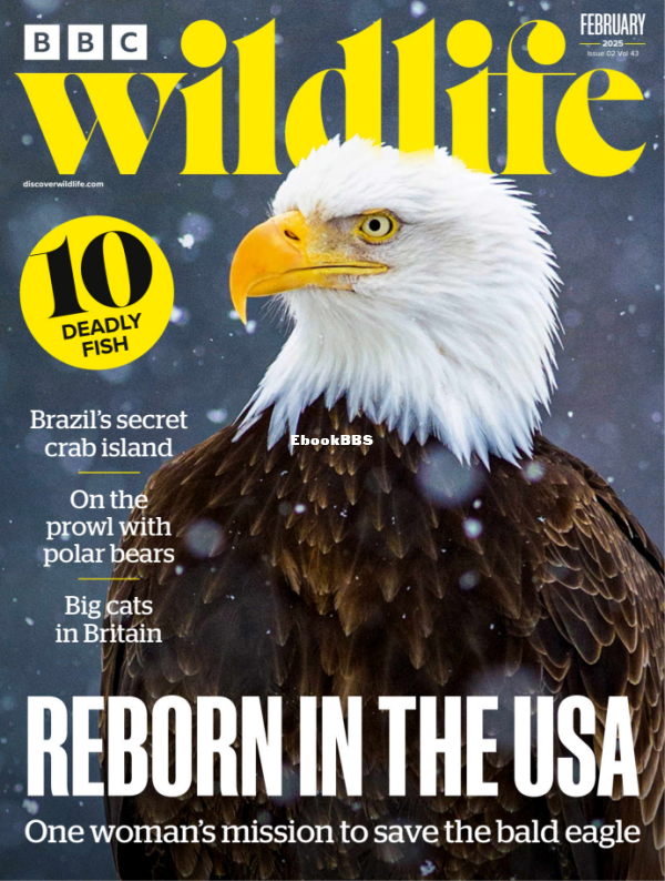 BBC_Wildlife_-_February_2025 - 1.png