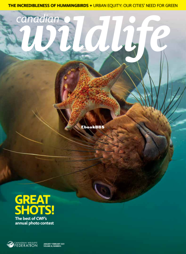 Canadian_Wildlife_-_January_February_2021 - 1.png