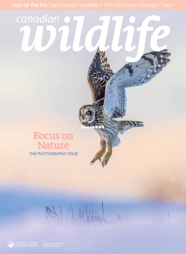 Canadian Wildlife 01.02 2023 - 1.png