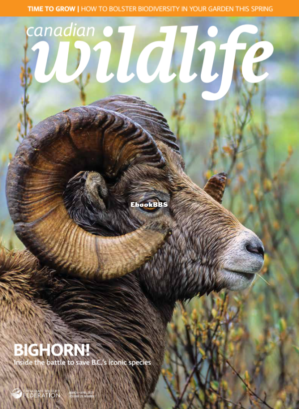 Canadian_Wildlife_-_March-April_2023 - 1.png