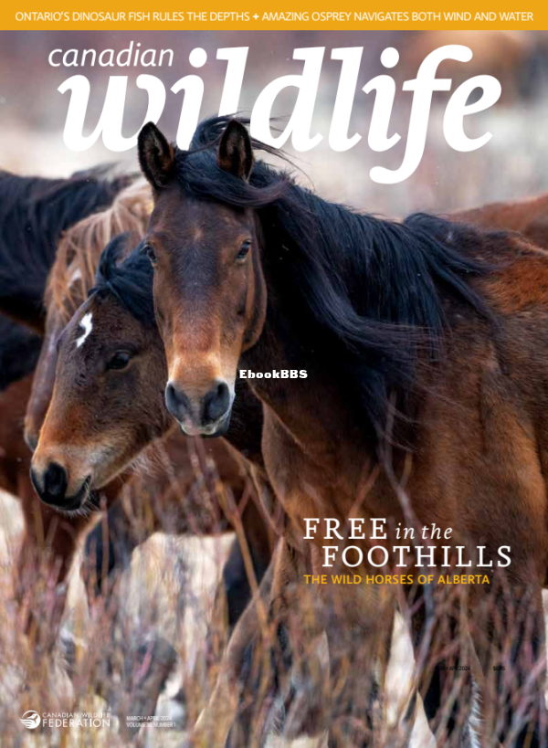Canadian_Wildlife_-_March-April_2024 - 1.png