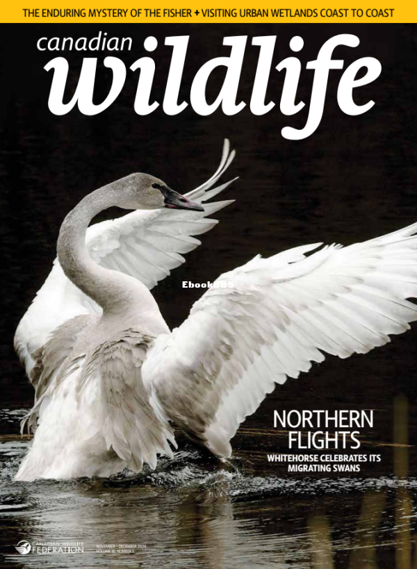Canadian_Wildlife_-_November-December_2024 - 1.png