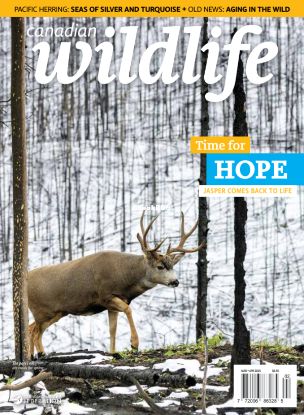 Canadian_Wildlife_-_March-April_2025 - 1.png