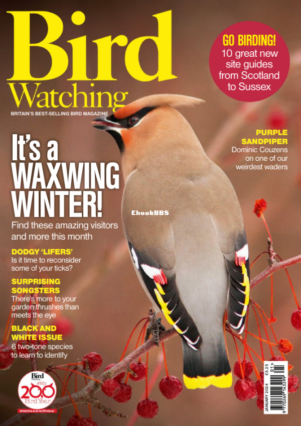 Bird_Watching_UK_-_January_2024 - 1.png