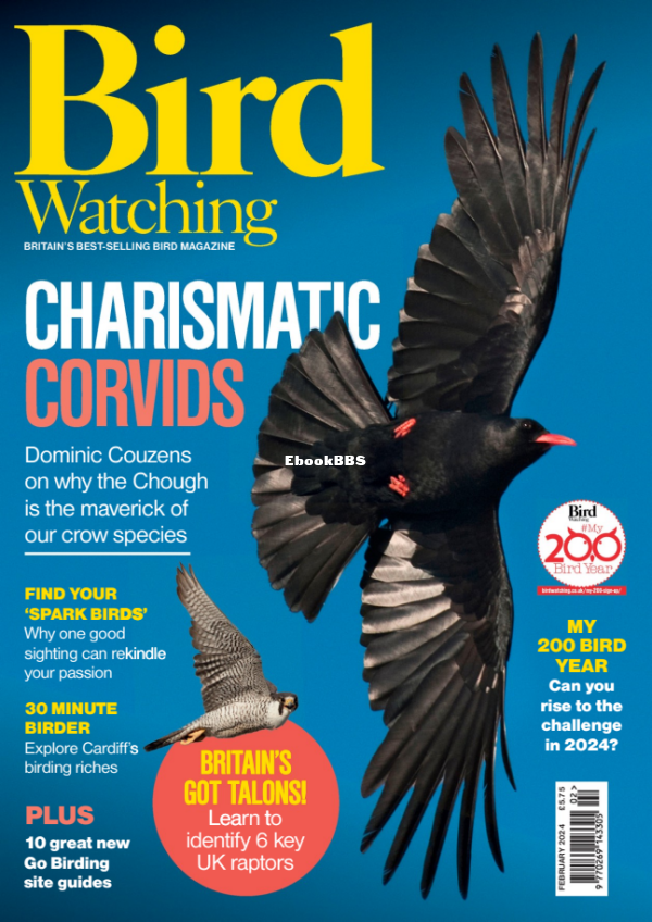 Bird_Watching_UK_-_February_2024 - 1.png