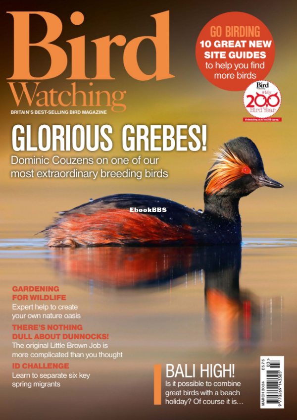Bird_Watching_UK_-_March_2024 - 1.png