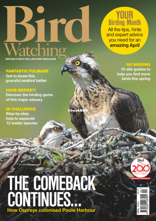 Bird_Watching_UK_-_April_2024 - 1.png