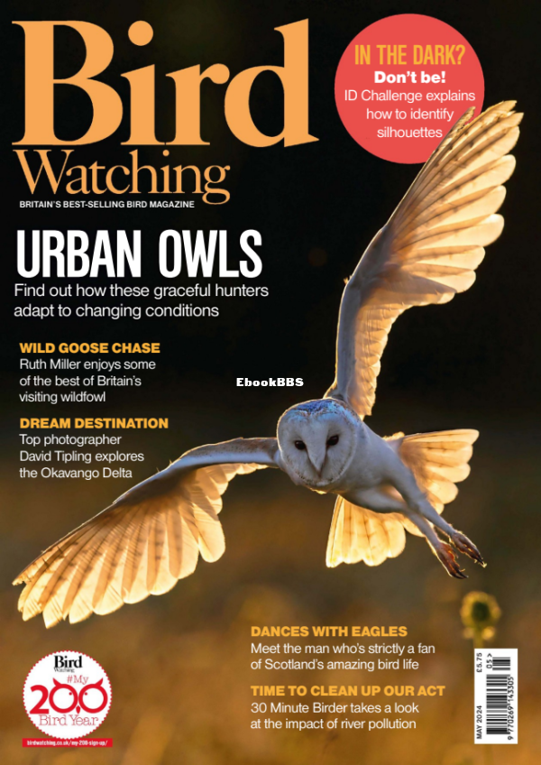 Bird_Watching_UK_-_May_2024 - 1.png