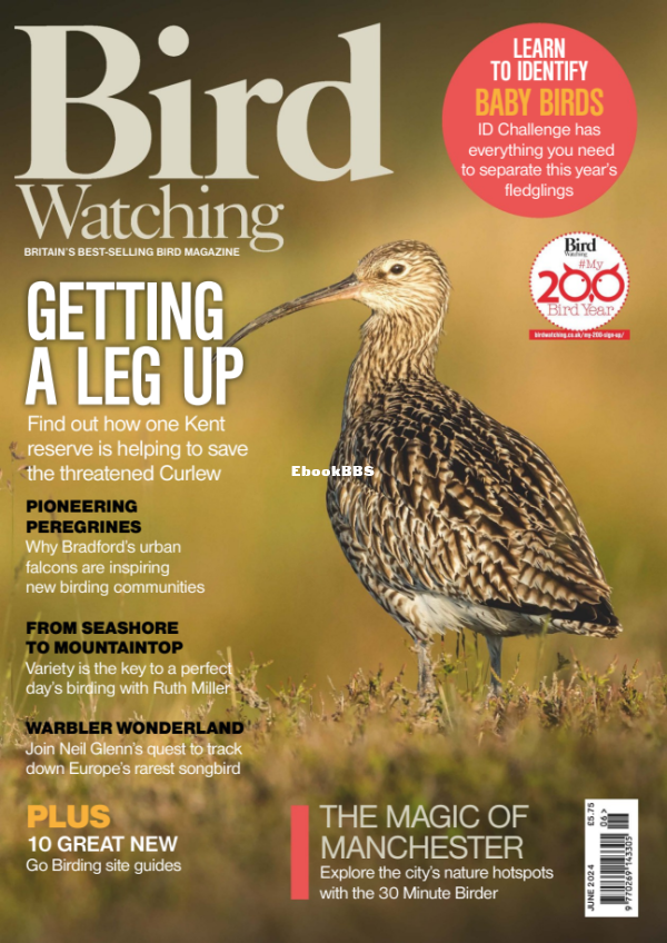 Bird_Watching_UK_-_June_2024 - 1.png