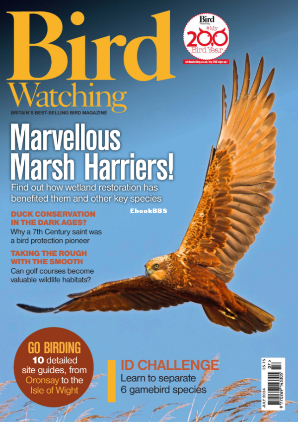 Bird_Watching_UK_-_July_2024 - 1.png