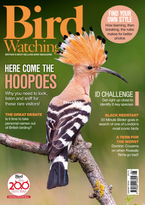 Bird_Watching_UK_-_August_2024 - 1.png